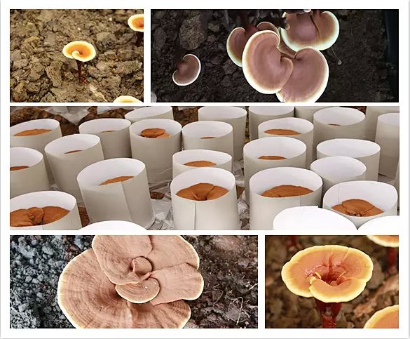 圖片關(guān)鍵詞 圖片關(guān)鍵詞