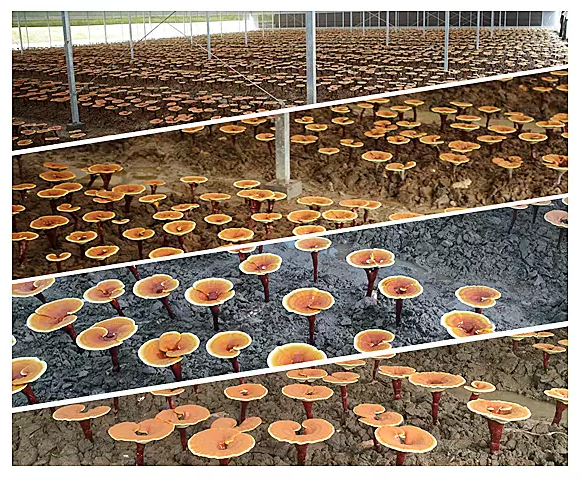 圖片關(guān)鍵詞 圖片關(guān)鍵詞