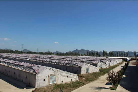 圖片關(guān)鍵詞 圖片關(guān)鍵詞