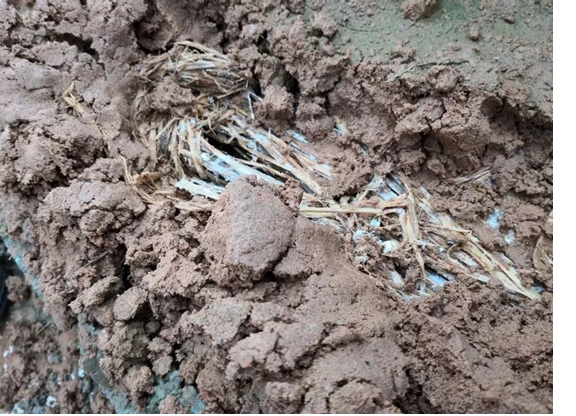 圖片關(guān)鍵詞 圖片關(guān)鍵詞