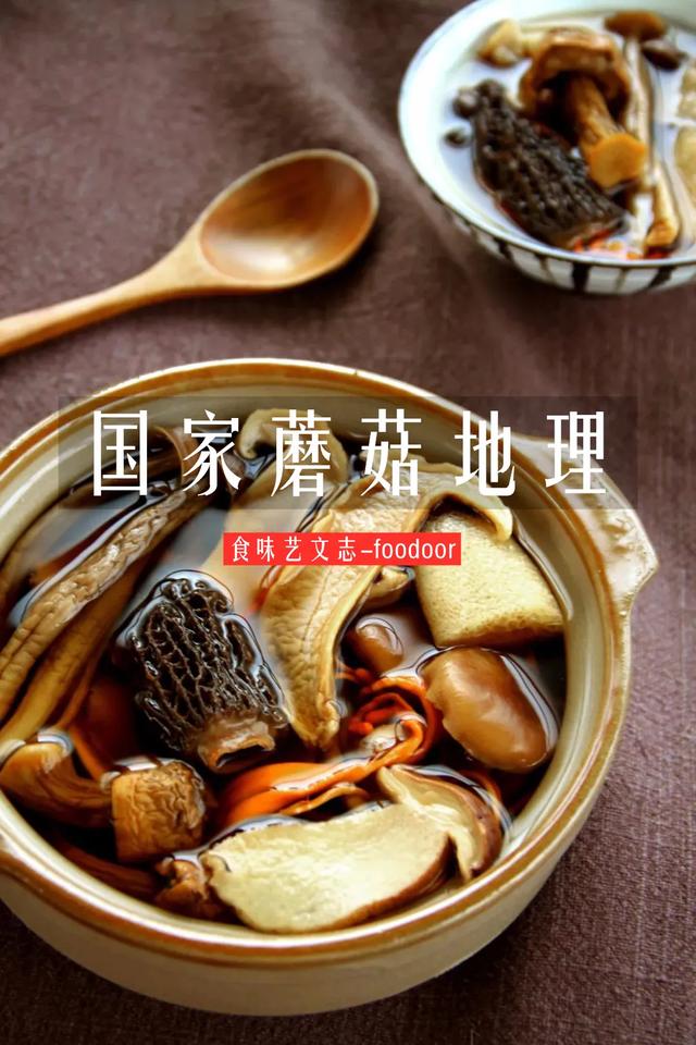國(guó)家蘑菇地理：中國(guó)哪里的蘑菇最好吃？