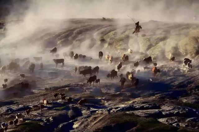 國(guó)家蘑菇地理：中國(guó)哪里的蘑菇最好吃？