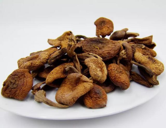 國(guó)家蘑菇地理：中國(guó)哪里的蘑菇最好吃？