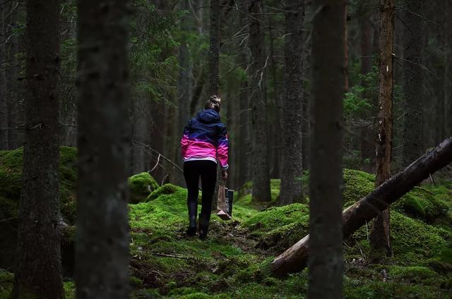 國(guó)家蘑菇地理：中國(guó)哪里的蘑菇最好吃？