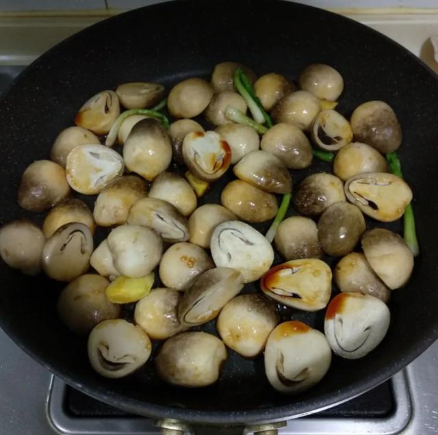 國(guó)家蘑菇地理：中國(guó)哪里的蘑菇最好吃？