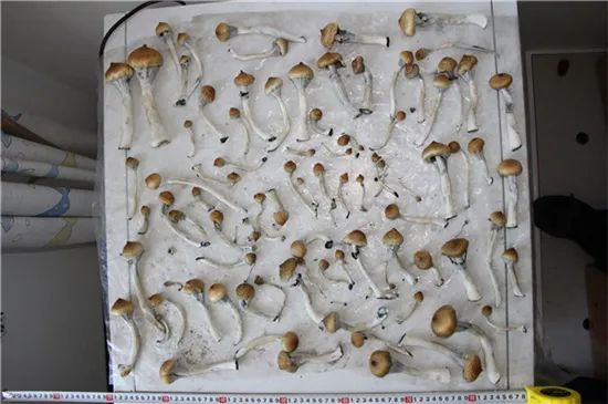 圖片關鍵詞 https://mmbiz.qpic.cn/mmbiz_jpg/OnRbAd1HL47qC0uibwrNsuw7LGnZfZLuynoSwGV1xevL9ITarDXKs72EIgWp4dfB9oMq50KbBXj84pYRCtwkV4w/640?wx_fmt=jpeg