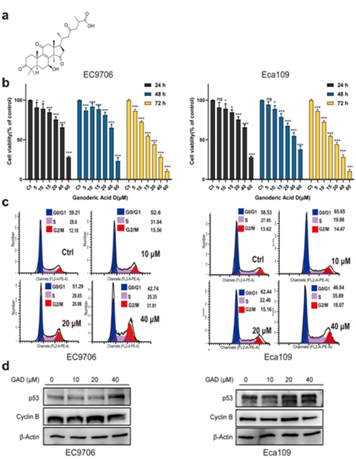 圖片關(guān)鍵詞 https://mmbiz.qpic.cn/mmbiz_png/tViaTicjwibVZnnuxTI0eMzfuPJd8DTSZHDrNqZBwONNK18v74kCgr9OhYibFcI4YW8VCQia3Gv3UianDvItmtgOulEQ/640?wx_fmt=png
