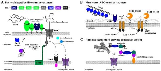 圖片關(guān)鍵詞 https://mmbiz.qpic.cn/mmbiz_jpg/OnRbAd1HL44da8qpWCnn2RmJEB4eNMYmNeWoysibic5MdZuicNGHlF8EqgDtXWQ08sdic5YZMXh4bCV4slAQmeQFMA/640?wx_fmt=jpeg