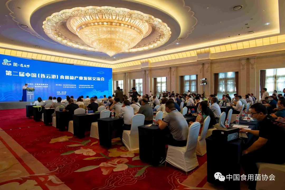 圖片關(guān)鍵詞 https://mmbiz.qpic.cn/mmbiz_jpg/qmUUOFzKOyRYEBXKnSHMvP5v7LsM30EklTo99rGqViayuSBI4wQq90FfEiaynjGFJIyOnBVXE5QEQSY6xHSgdt0w/640?wx_fmt=jpeg