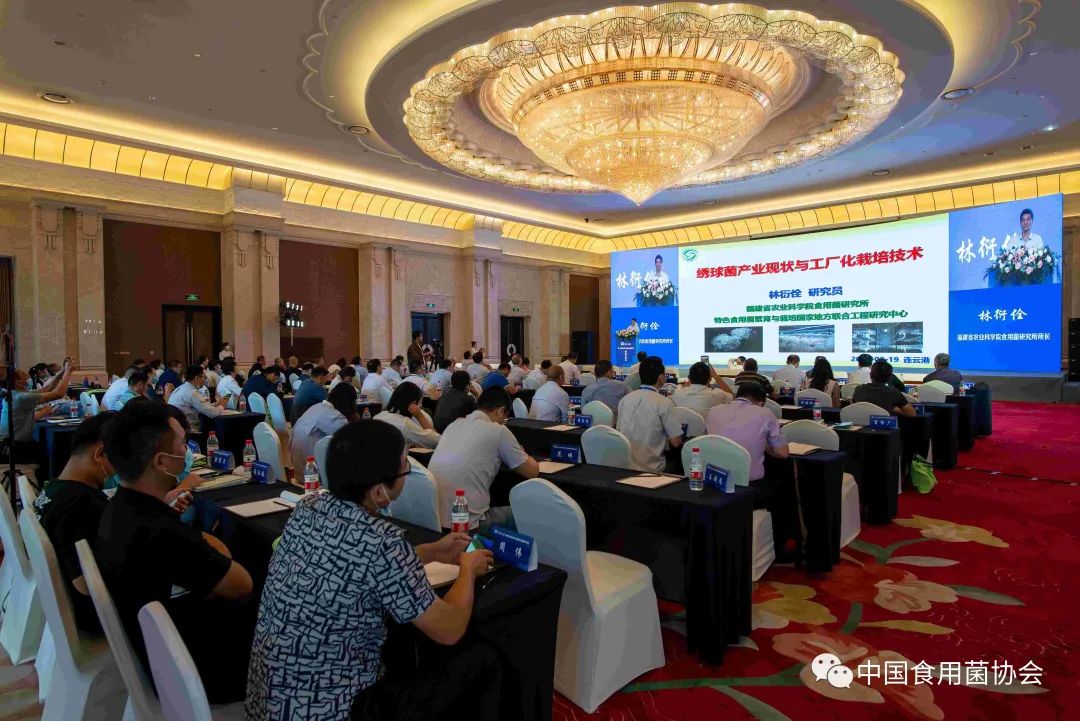 圖片關(guān)鍵詞 https://mmbiz.qpic.cn/mmbiz_jpg/qmUUOFzKOyRYEBXKnSHMvP5v7LsM30EktBicwPIl4cpW3biadZDIV9fbnqNGZFRaxZGH92kpJOrkpDAibz5kicHEBA/640?wx_fmt=jpeg