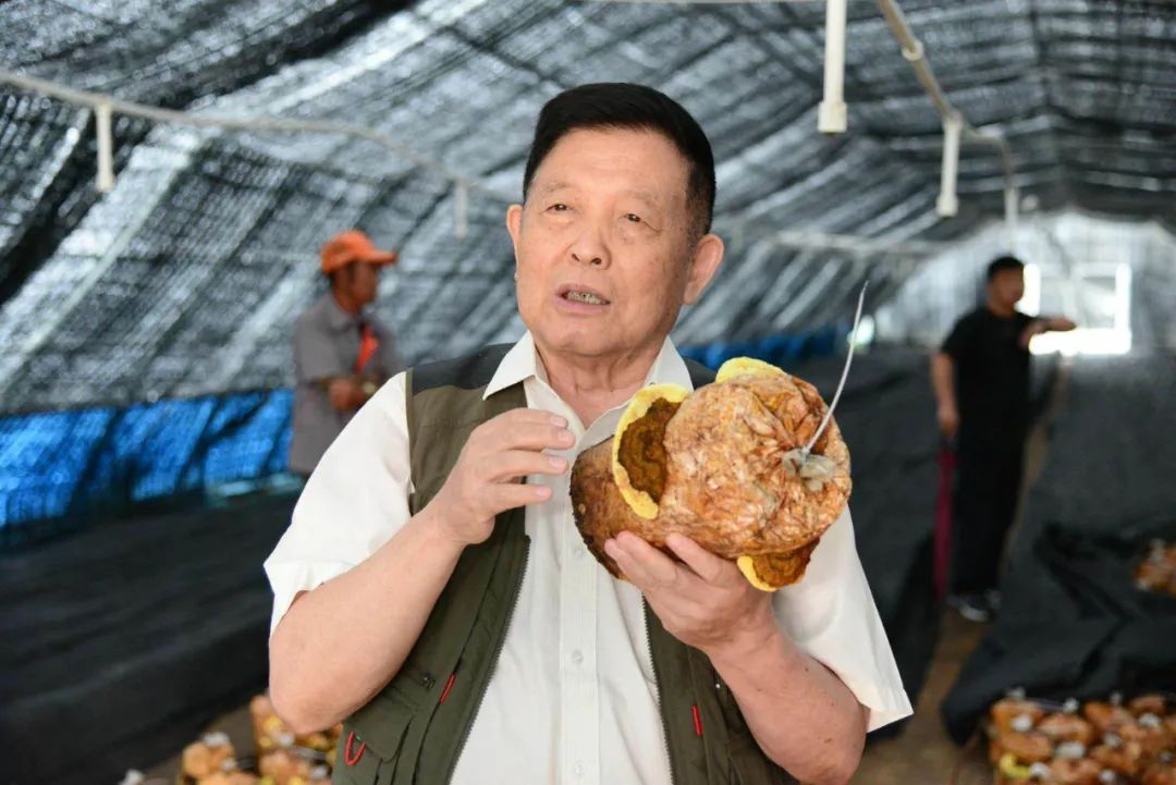 圖片關(guān)鍵詞 https://mmbiz.qpic.cn/sz_mmbiz_jpg/okVdCfcLZnPnxIoDdE3bYyyM0McKhicP5Vh3rJHCK2lWWWReCqkwCytfmokO1ic89AucxM2Bm8P7vpJeAceFOKRg/640?wx_fmt=jpeg