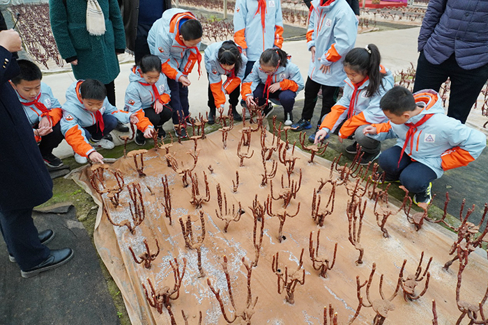 圖片關(guān)鍵詞 圖片關(guān)鍵詞