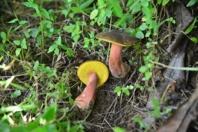 圖片關(guān)鍵詞 圖片