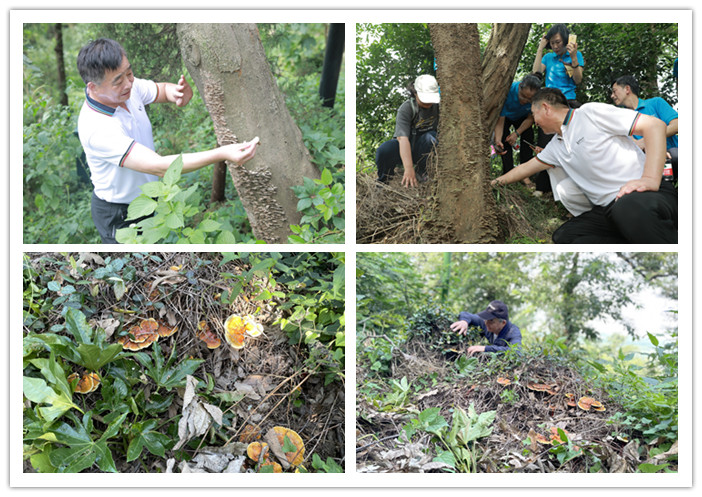 圖片關(guān)鍵詞 圖片關(guān)鍵詞