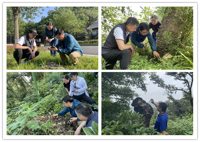 圖片關(guān)鍵詞 圖片關(guān)鍵詞