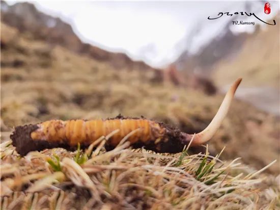 圖片關(guān)鍵詞 圖片