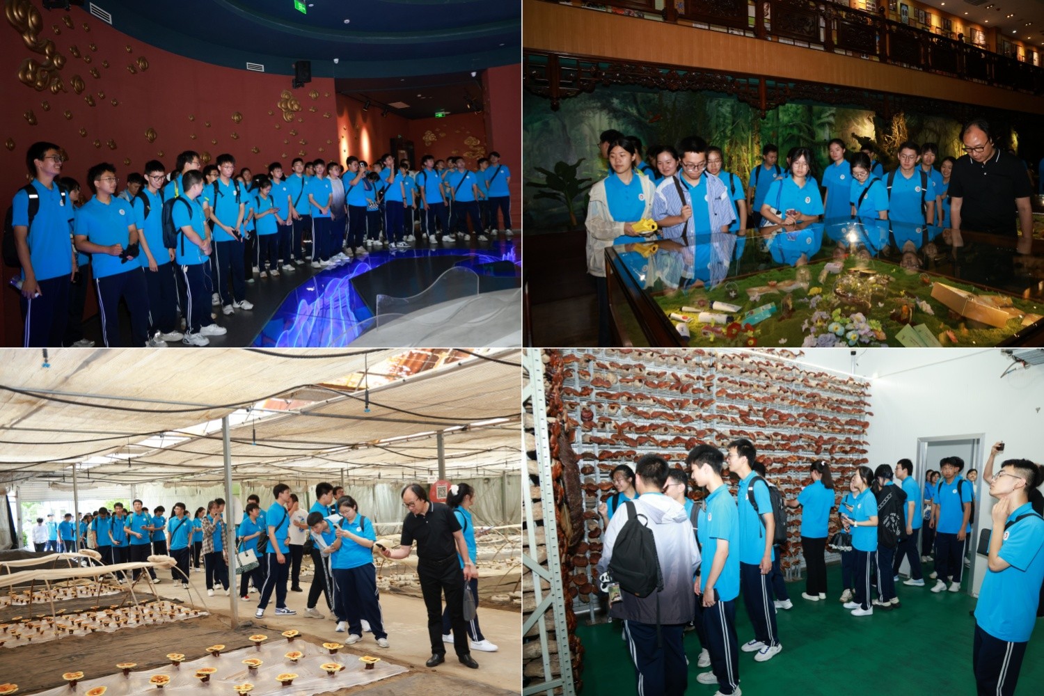 圖片關(guān)鍵詞