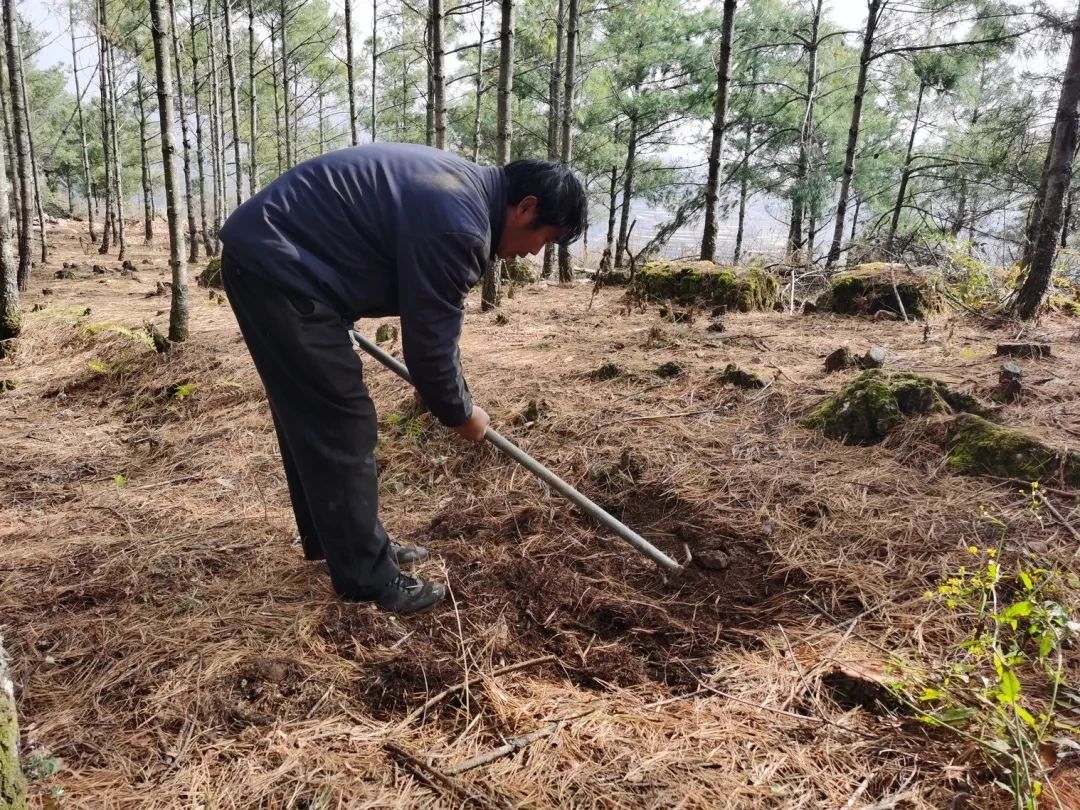 圖片關(guān)鍵詞