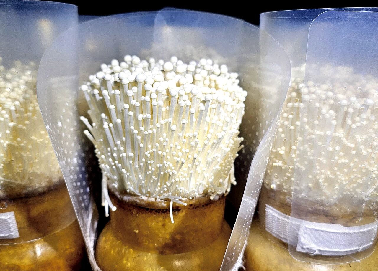 圖片關(guān)鍵詞