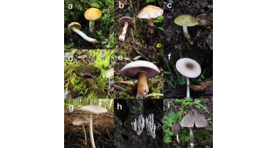 行業(yè)動(dòng)態(tài)