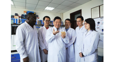 行業(yè)動態(tài)