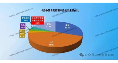 行業(yè)動態(tài)