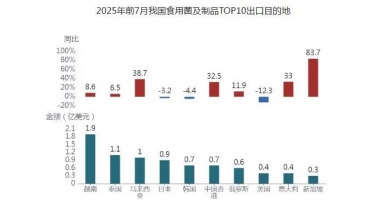 行業(yè)動(dòng)態(tài)
