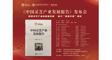 行業(yè)動態(tài)