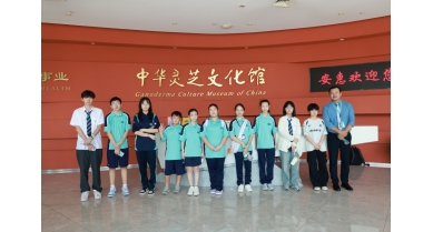 專(zhuān)題報(bào)道