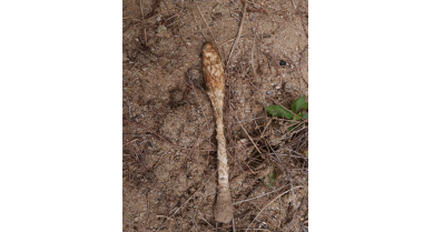 行業(yè)動(dòng)態(tài)